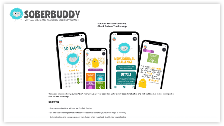 SoberBuddy